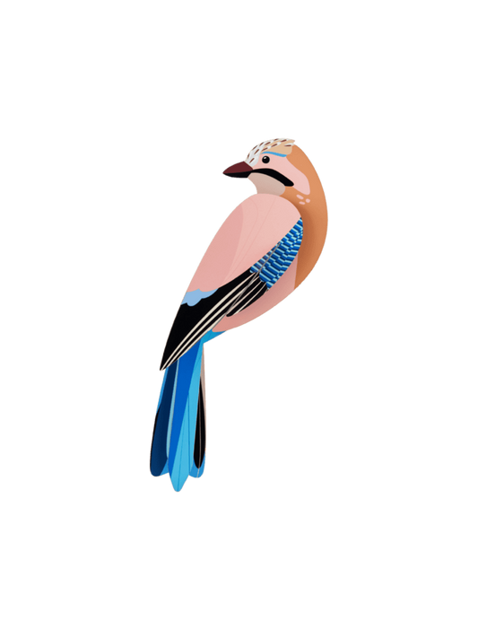 Jay