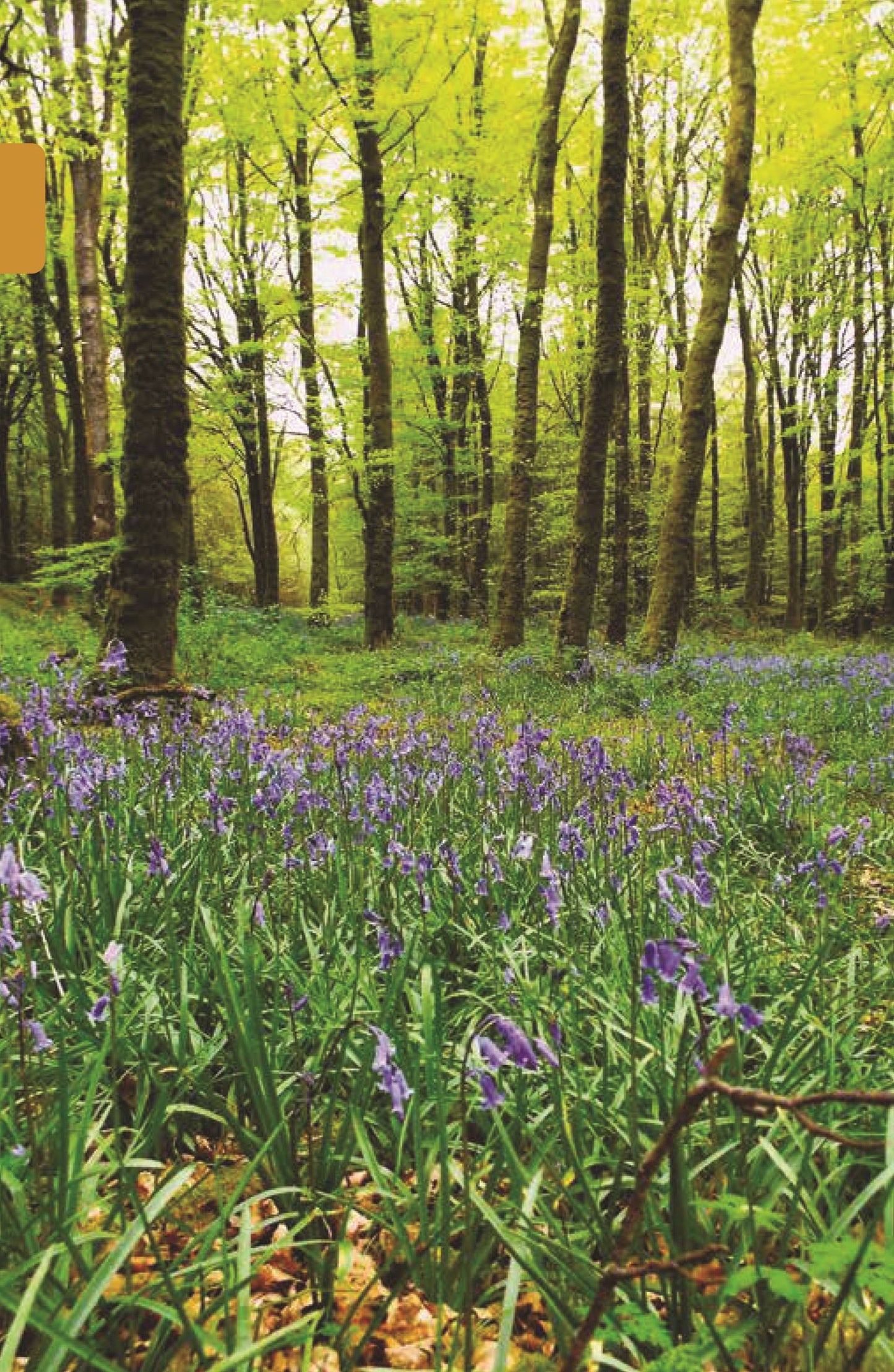The 50 Best Family Hikes in Ireland