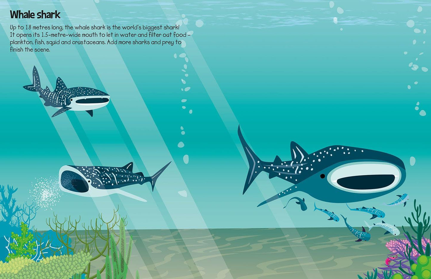 555 Sticker Fun: Sharks