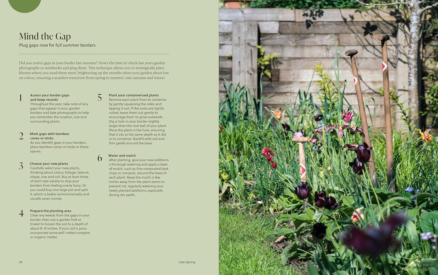 Year of Colour: How To Create A Bold And Bright Garden