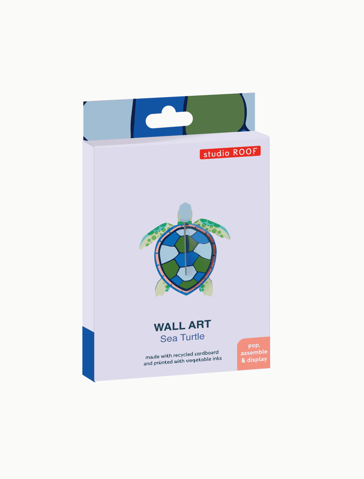 Sea Turtle