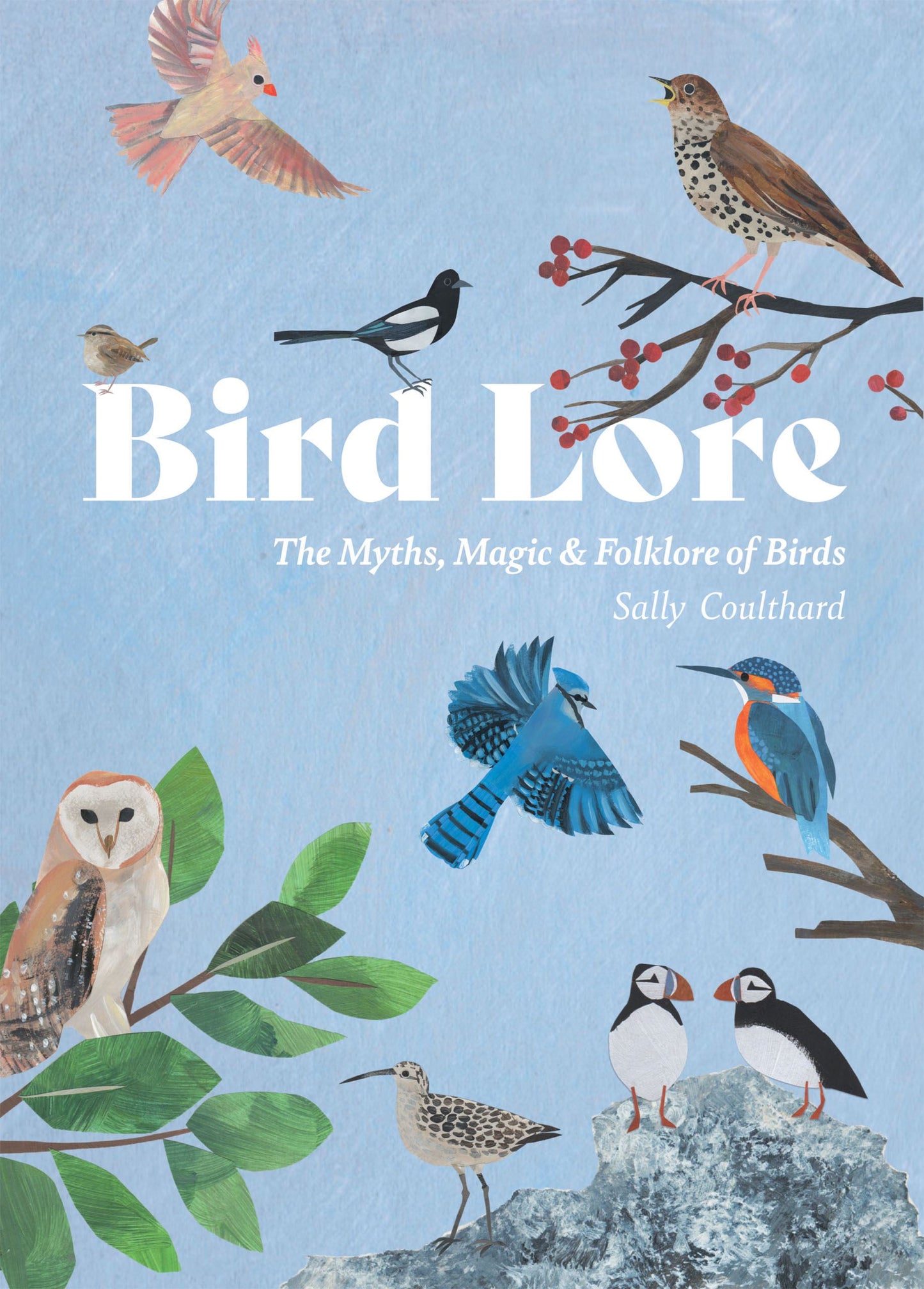Bird Lore: The Myths, Magic And Folklore of Birds