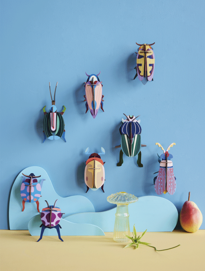 Coccinelle Couple