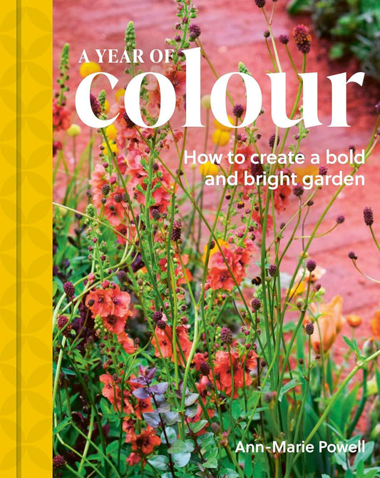 Year of Colour: How To Create A Bold And Bright Garden