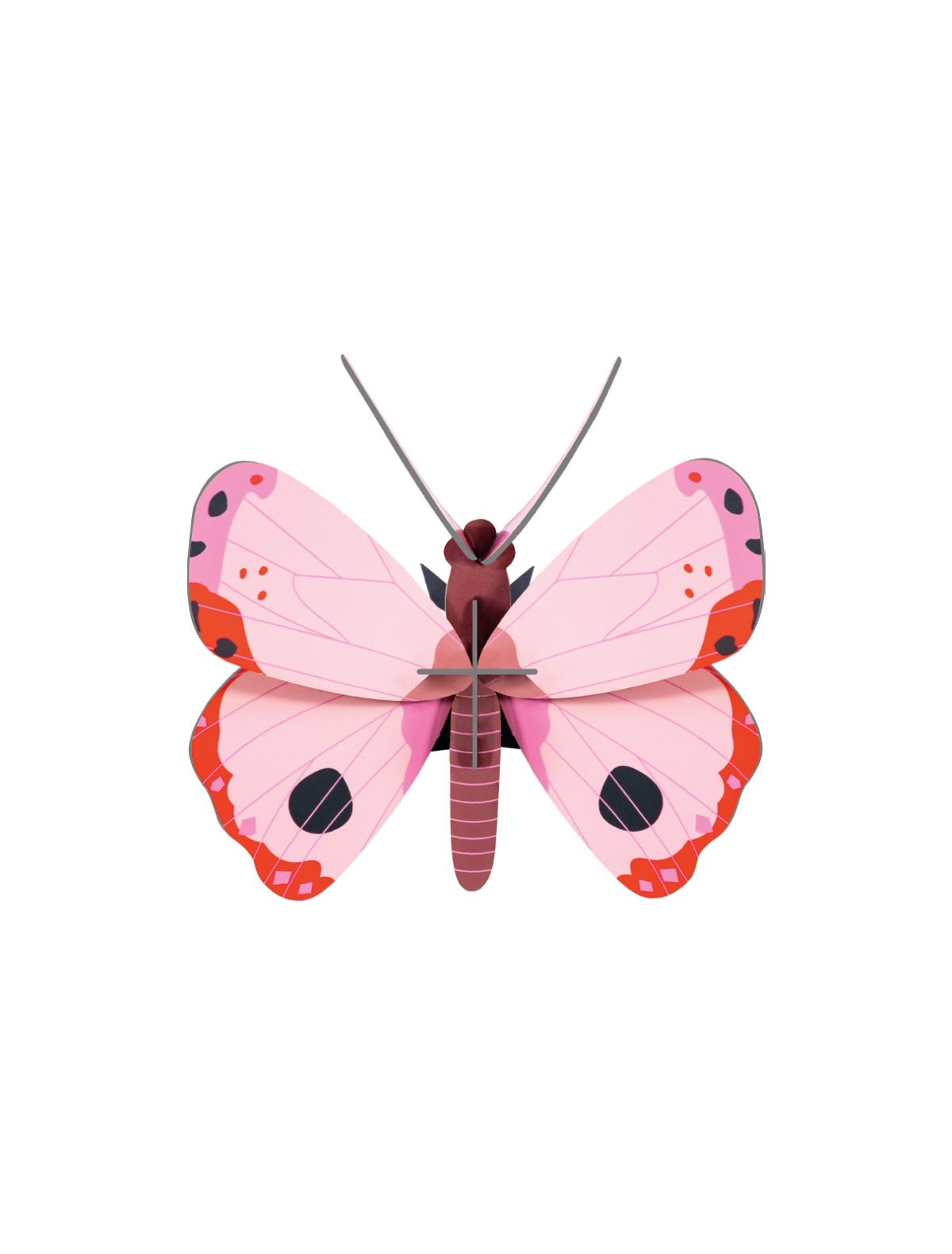 Rosora Butterfly