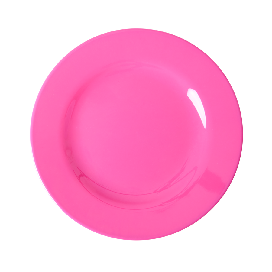 Melamine Lunch Plate by Rice